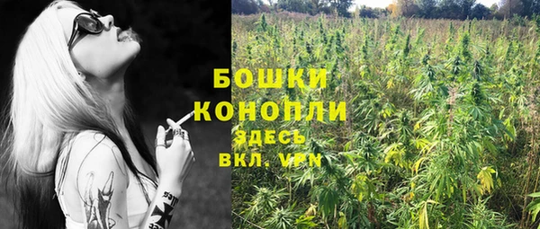 МДПВ Новодвинск