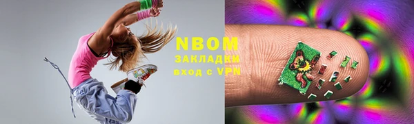 индика Бородино