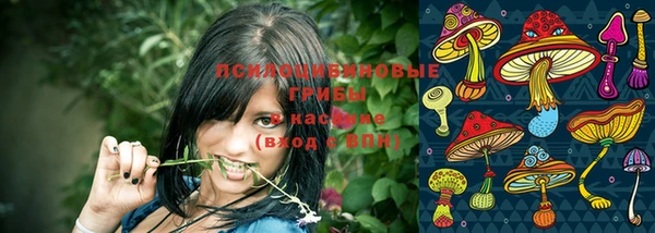 каннабис Осташков