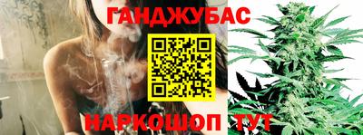 ECSTASY Новозыбков
