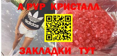 спайс Берёзовский