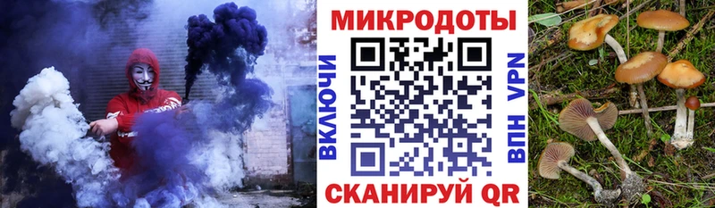 Галлюциногенные грибы Psilocybe  Родники 