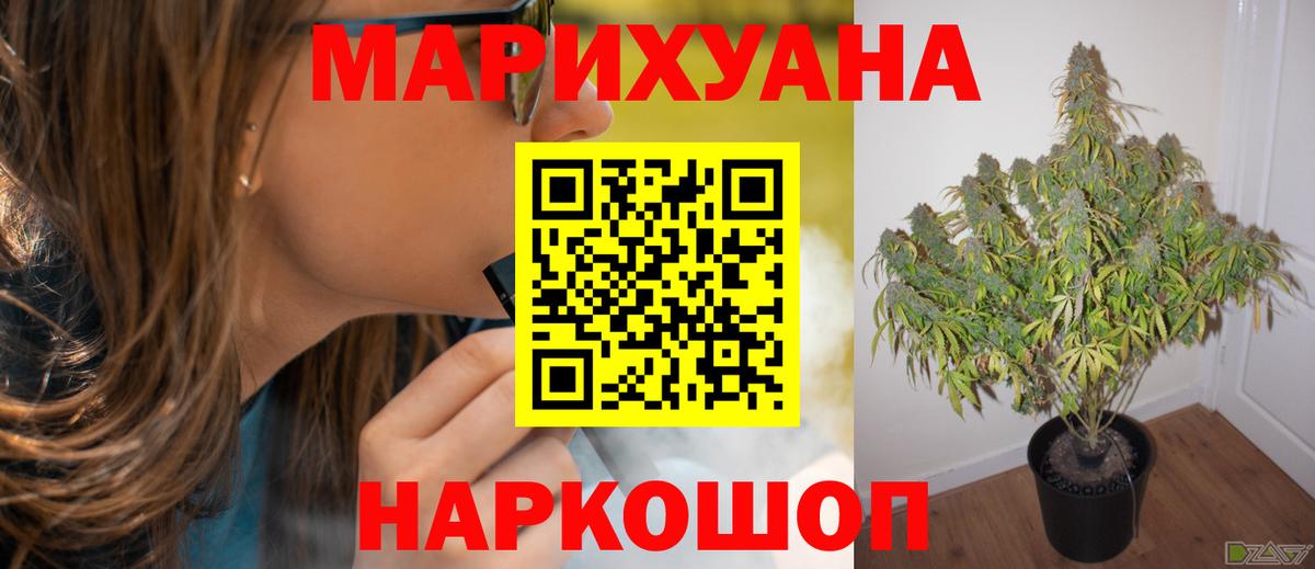 Канабис гибрид Родники